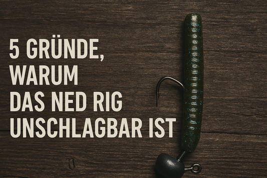 5 Gründe warum das Ned Rig unschlagbar ist