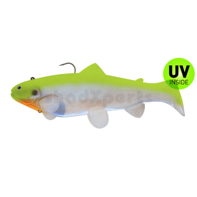Castaic Swimbait Trout 2.0 Austrian Edition Sinking 10" 25 cm