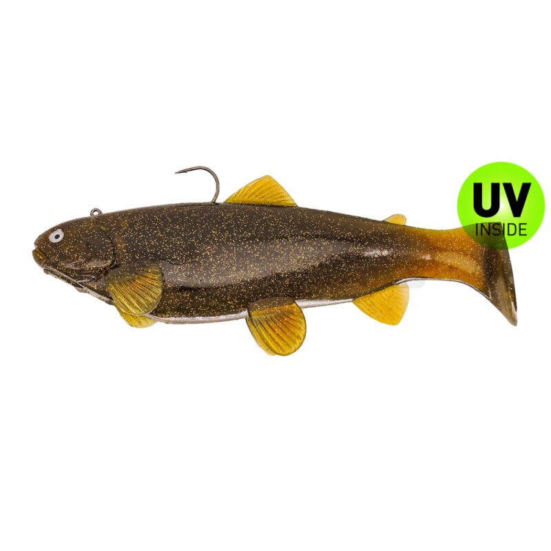 Castaic Swimbait Trout 2.0 Austrian Edition Sinking 10" 25 cm