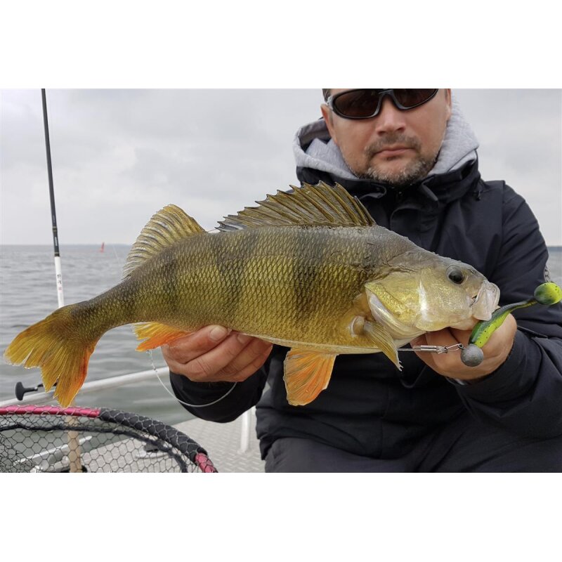 K.P Baits Lazy Shad 3" Gummiköder