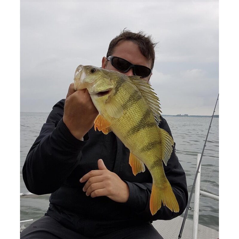 K.P Baits Lazy Shad 3" Gummiköder