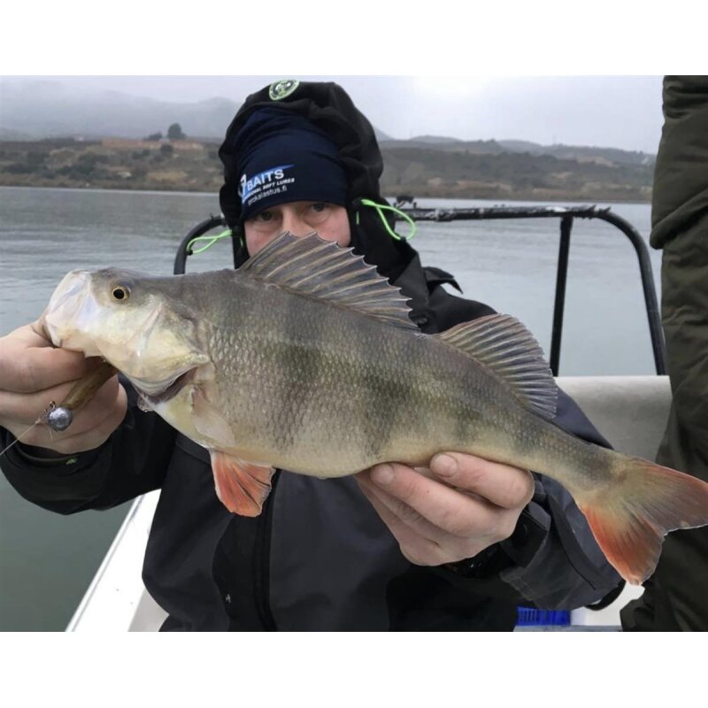 K.P Baits Lazy Shad 4" Gummiköder