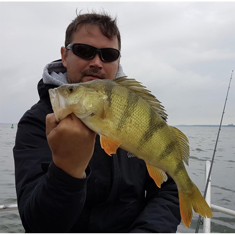 K.P Baits Original Shad 2" Gummiköder 5 cm 5 Stück