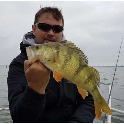 K.P Baits Original Shad 2" Gummiköder 5 cm 5 Stück