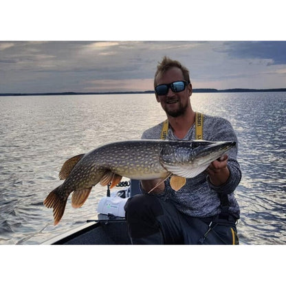 K.P Baits Pike Shad XXL 9"