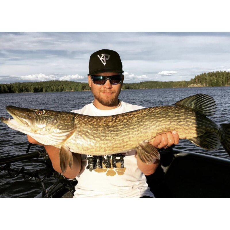 K.P Baits Pike Shad XXL 9"