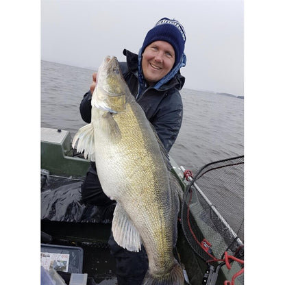 K.P Baits Skeleton Shad 3" 7.5cm