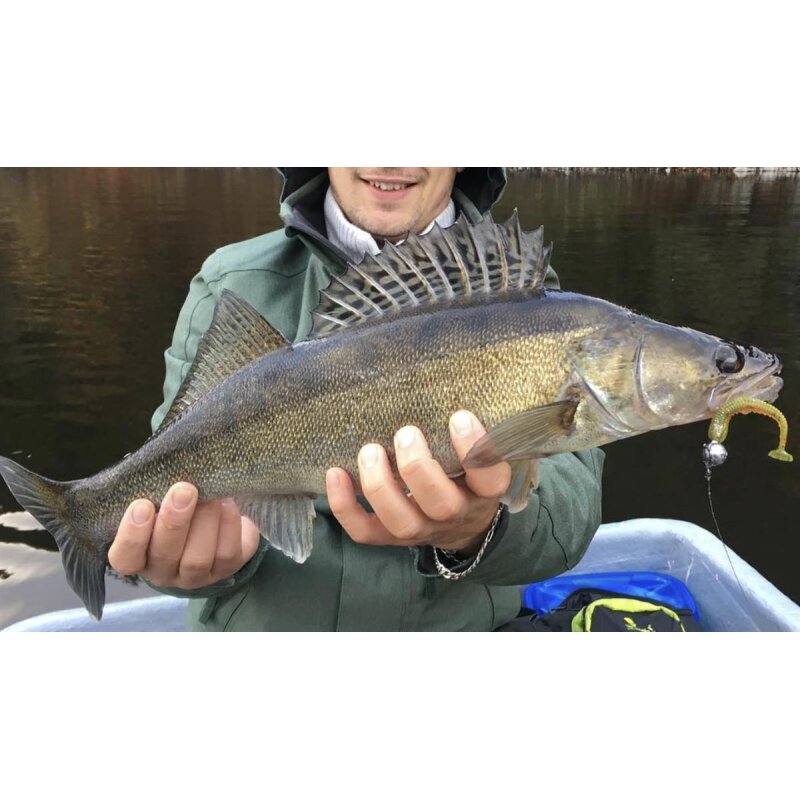 K.P Baits Skeleton Shad Gummifisch 3" 7,5cm