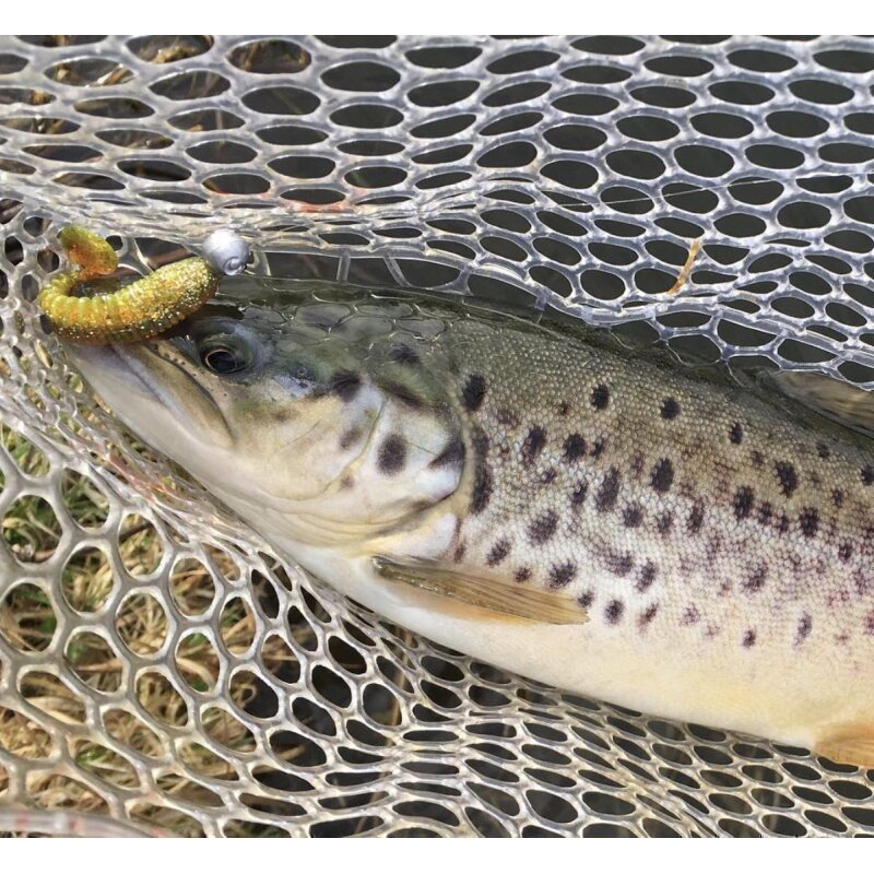 K.P Baits Skeleton Shad Gummifisch 3" 7,5cm