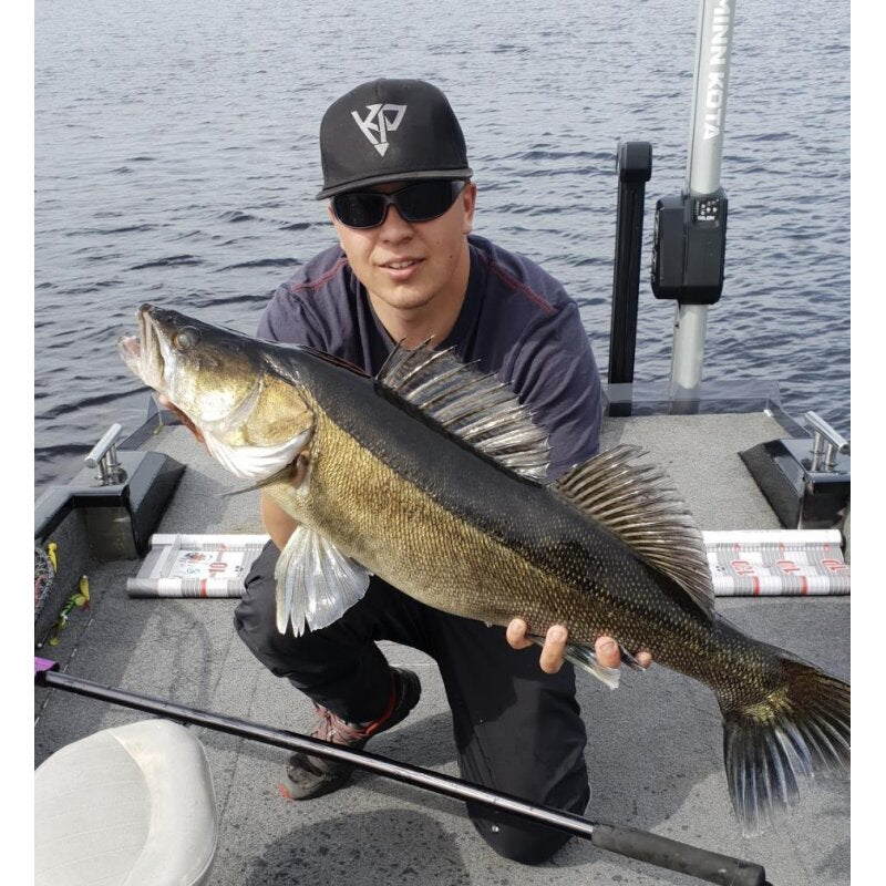 K.P Baits Skeleton Shad Gummifisch 3" 7,5cm