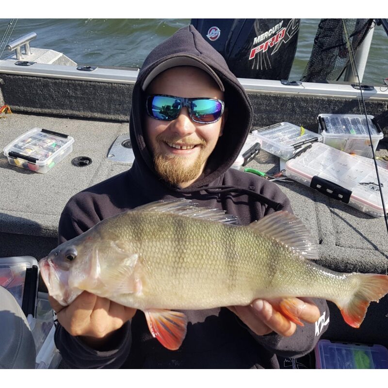 K.P Baits Skeleton Shad Gummifisch 3" 7,5cm