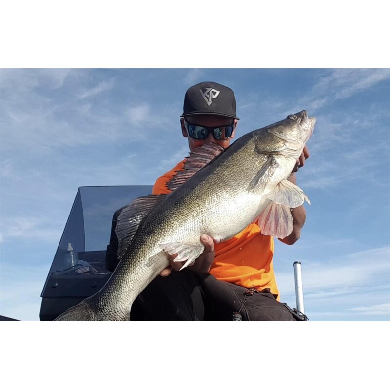 K.P Baits Skeleton Shad Gummifisch 3" 7,5cm