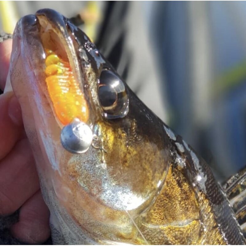 K.P Baits Skeleton Shad 3" 7.5cm