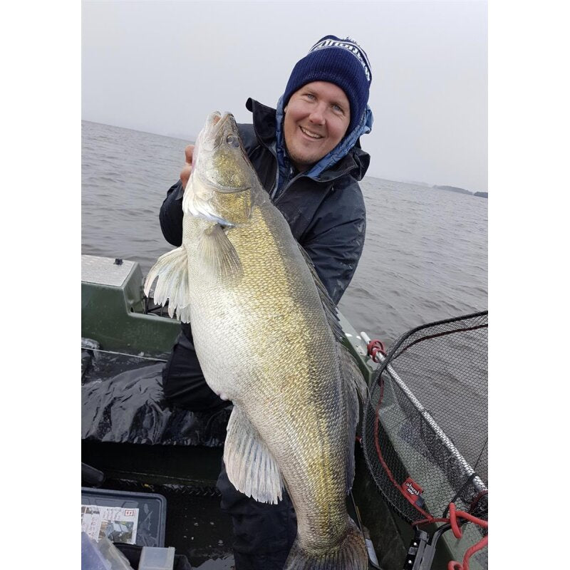 K.P Baits Skeleton Shad 3" 7.5cm