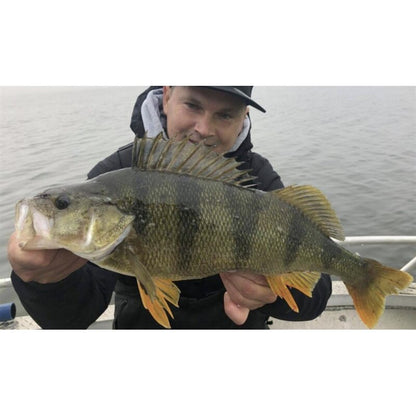 K.P Baits Skeleton Shad Gummifisch 4" 10 cm 5 Stück