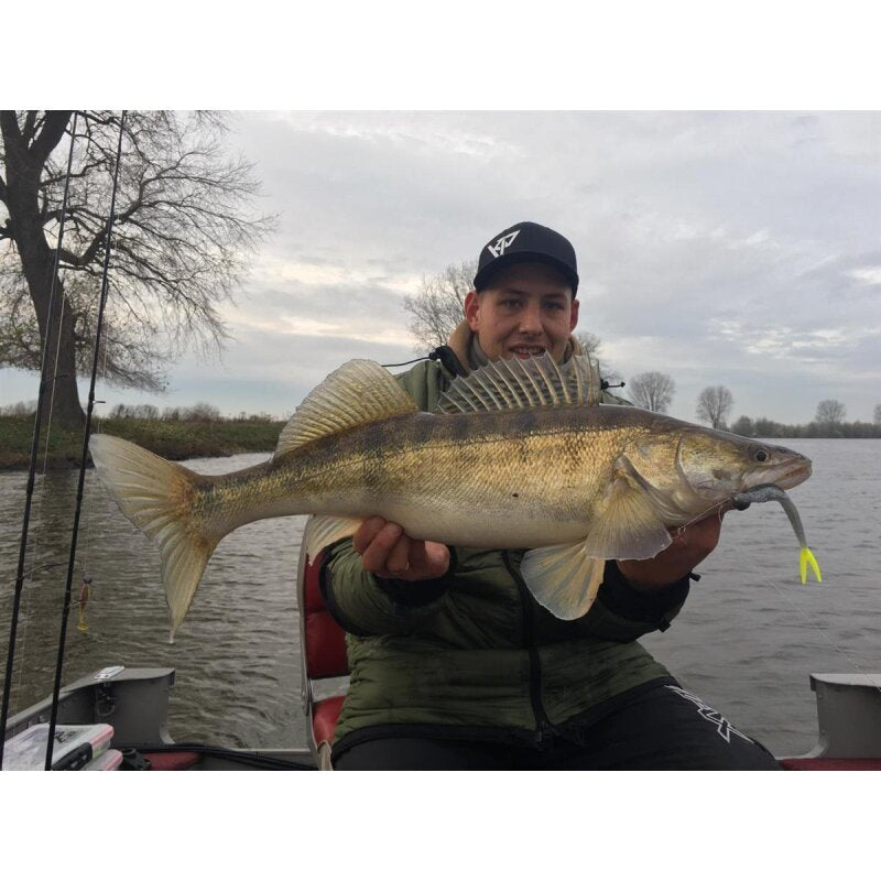 K.P Baits XO Minnow 6,5" Vertikal No Action Shad Zander Hecht 5 Stück