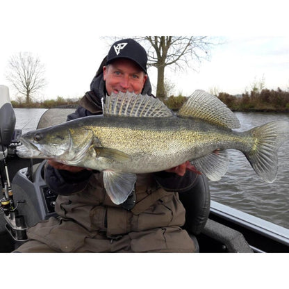 K.P Baits XO Minnow 6,5" Vertikal No Action Shad Zander Hecht 5 Stück