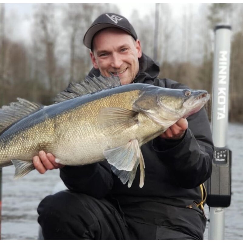 K.P Baits XO Minnow 6,5" Vertikal No Action Shad Zander Hecht 5 Stück