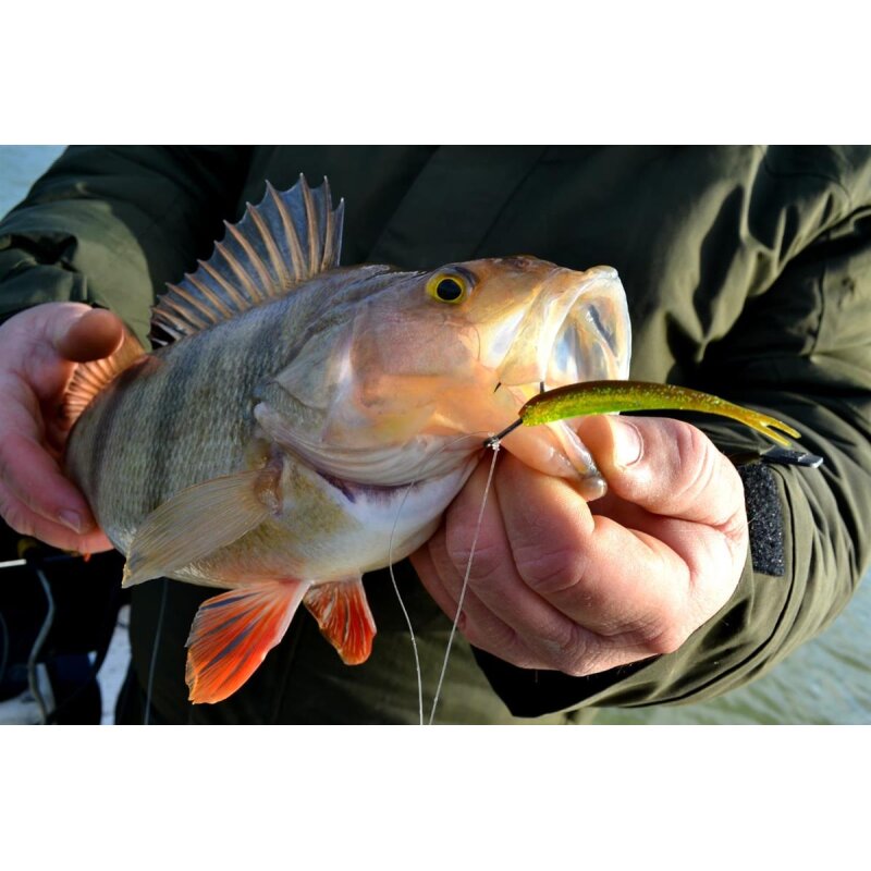 Major Fish Barsch Tacklebox 35-Teilig Tacticalbox