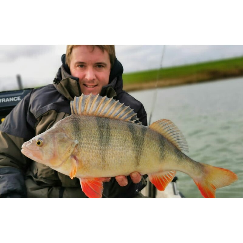 Major Fish Barsch Tacklebox 35-Teilig Tacticalbox