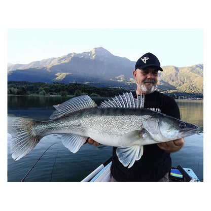 Major Fish Drop Shot Kit 11-Teilig für Barsch und Zander