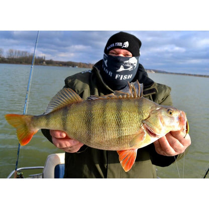 Major Fish Drop Shot Kit 11-Teilig für Barsch und Zander