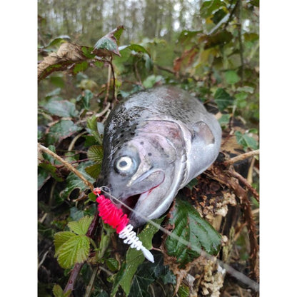 Major Fish Forellenbox Ready-to-Fish 50 Teilig